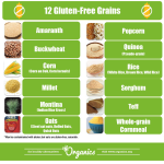 5 Most Common Gluten Foods You Need to Avoid 5 Most Common Gluten Foods You Need to Avoid 2