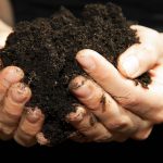 20 Reasons To Try Organic Sulfur 20 Reasons To Try Organic Sulfur