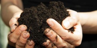 20 Reasons To Try Organic Sulfur