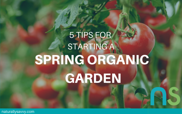 5 Tips For an Organic Garden