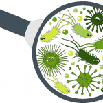 8 Reasons to Take Probiotics 8 Reasons to Take Probiotics