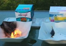 Conventional Feminine Hygiene Products: A Women’s Issue With Toxic Implications Conventional Feminine Hygiene Products: A Women’s Issue With Toxic Implications 1