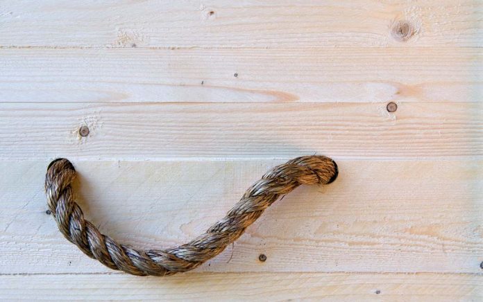 DIY Natural Wood Casket (Yes, Casket!)