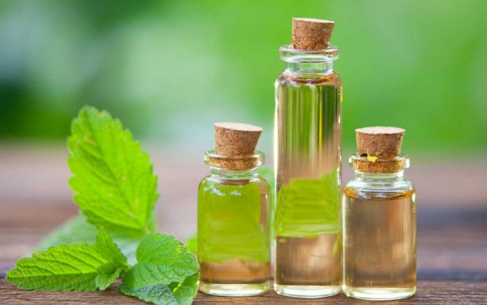 Different Types of Mint Essential Oils