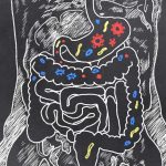 Digestion According to Traditional Chinese Medicine Digestion According to Traditional Chinese Medicine