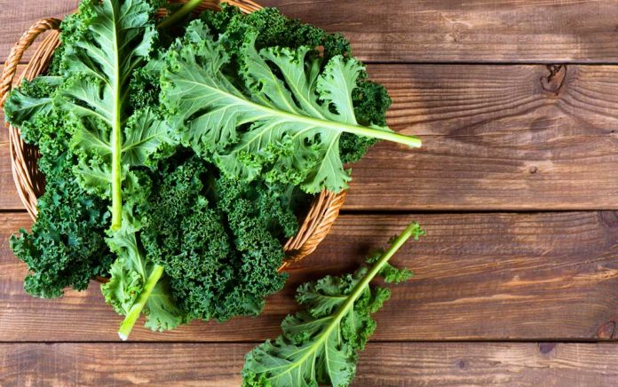 Eat Leafy Vegetables to Promote Good Digestion