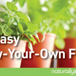 3 Easy Grow-Your-Own Foods Guaranteed to Impress Your Friends 3 Easy Grow-Your-Own Foods Guaranteed to Impress Your Friends