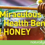 The Miraculous Health Benefits of Honey The Miraculous Health Benefits of Honey