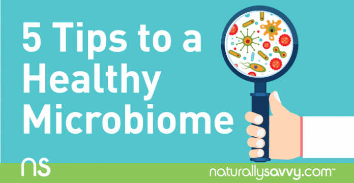 5 Tips for Creating a Healthy Microbiome 