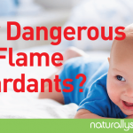 How Dangerous are Flame Retardants? How Dangerous are Flame Retardants?