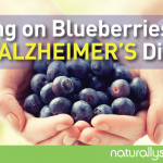 Bring on Blueberries to Fight Alzheimer’s Disease Bring on Blueberries to Fight Alzheimer’s Disease