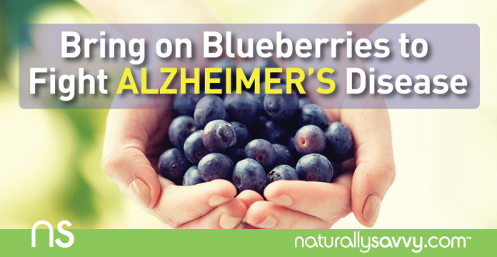 Bring on Blueberries to Fight Alzheimer’s Disease 