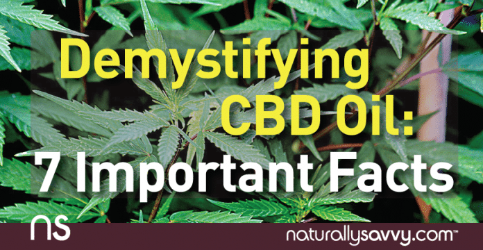 Demystifying CBD Oil (Cannabinoid): 7 Important Facts 