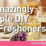 4 Amazingly Simple DIY Air Freshener Recipes 4 Amazingly Simple DIY Air Freshener Recipes