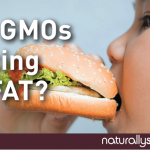 Are GMOs Making Us Fat? Are GMOs Making Us Fat?