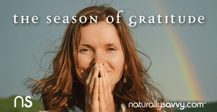 Autumn: The Season of Gratitude 