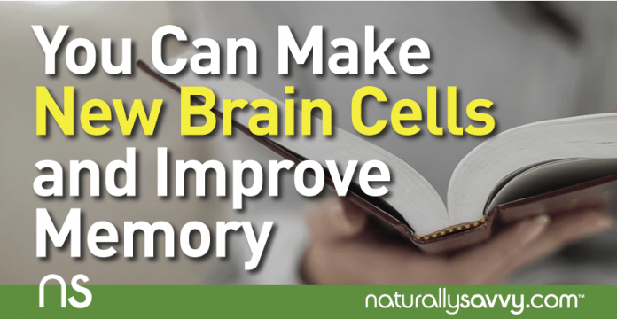 You Can Make New Brain Cells and Improve Your Memory 