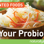 Fermented Foods: Eat Your Probiotics! Fermented Foods: Eat Your Probiotics!