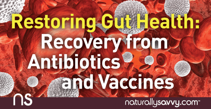Restoring Gut Health: Recovery from Antibiotics and Vaccines 