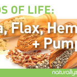 Seeds of Life: Chia, Flax, Hemp & Pumpkin Seeds of Life: Chia, Flax, Hemp & Pumpkin