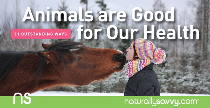 11 Outstanding Ways Animals are Good for Our Health 