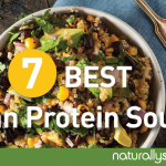 7 Best Vegan Protein Sources 7 Best Vegan Protein Sources