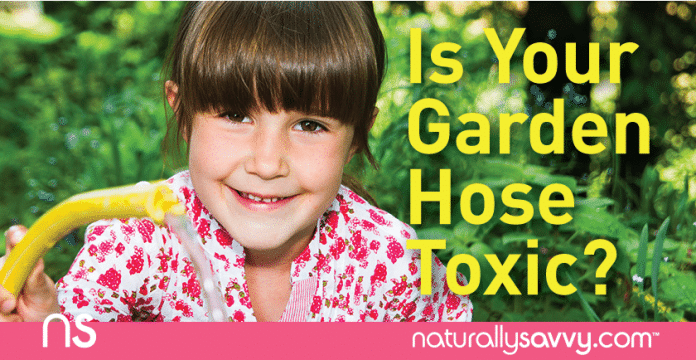 Is Your Garden Hose Toxic? 