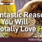 7 Fantastic Reasons Why You Will Totally Love Hemp 7 Fantastic Reasons Why You Will Totally Love Hemp