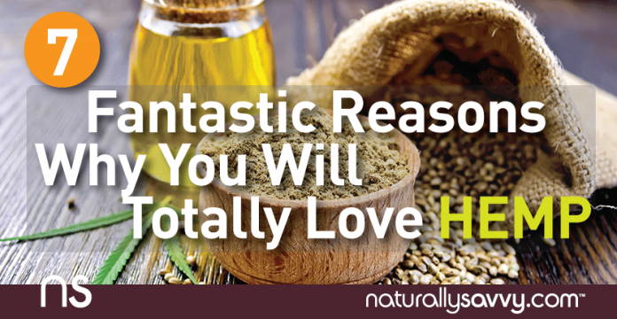 7 Fantastic Reasons Why You Will Totally Love Hemp 