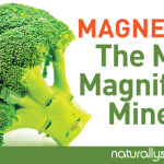 Magnesium: The Most Magnificent Mineral Magnesium: The Most Magnificent Mineral