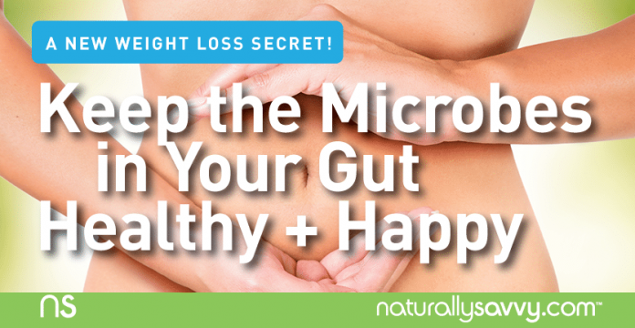 A New Weight Loss Secret! Keep the Microbes in Your Gut Healthy and Happy 