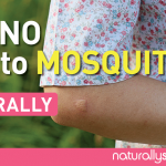 Say No To Mosquitoes, Naturally Say No To Mosquitoes, Naturally