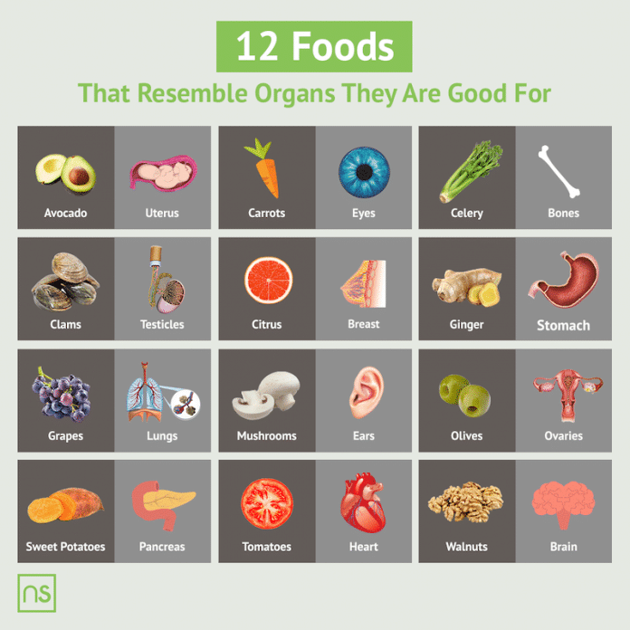 Foods that look like your body parts they are good for