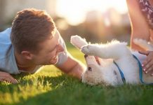 Foods Your Pets Should (and Shouldn't) Eat Foods Your Pets Should (and Shouldn’t) Eat