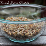 Back to Basics: French Green Lentils Back to Basics: French Green Lentils 2
