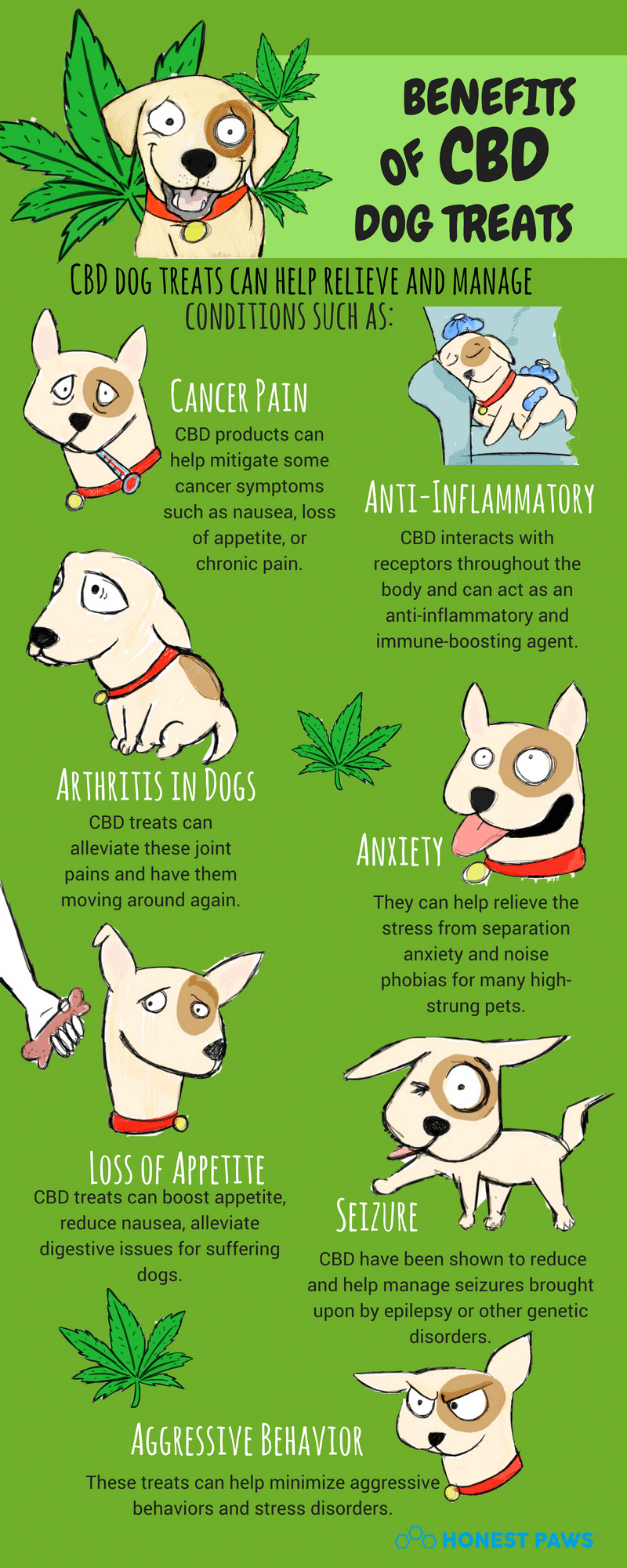 What You Need To Know About Cbd Oil For Dogs | Naturally Savvy