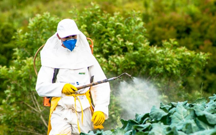 How to Avoid Pesticides on your Produce