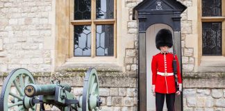 Learn Secrets from the Queen’s Doctor