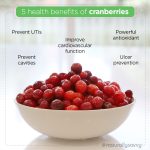 5 Health Benefits of Cranberries 5 health benefits of cranberries
