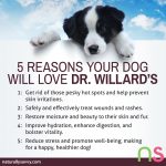 5 Reasons Your Dog Will Love Dr. Willard's 5 Reasons Your Dog Will Love Dr. Willard's