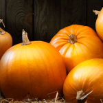 Pumpkins: Trick or Treat? 7 Surprising Things You Didn't Know About Pumpkins But Should 9 Things You Should Always Eat Organic