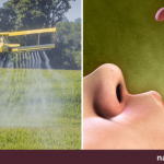 7 Ways The Monsanto / Bayer Merge Will Impact Our Health 7 Ways The Monsanto / Bayer Merge Will Impact Our Health