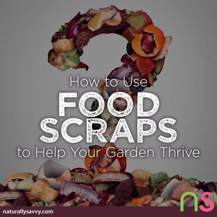 How to Use Food Scraps to Control Pests and Help Your Garden Thrive 