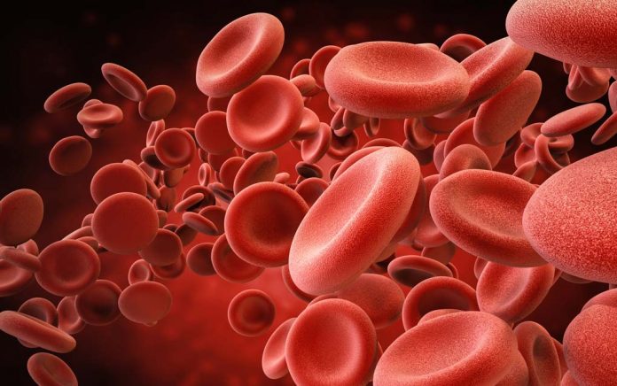 Nutrition and Blood Clotting