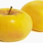 Opal Apples Are First U.S. Variety To Receive Non-GMO Label Opal Apples Are First U.S. Variety To Receive Non-GMO Label