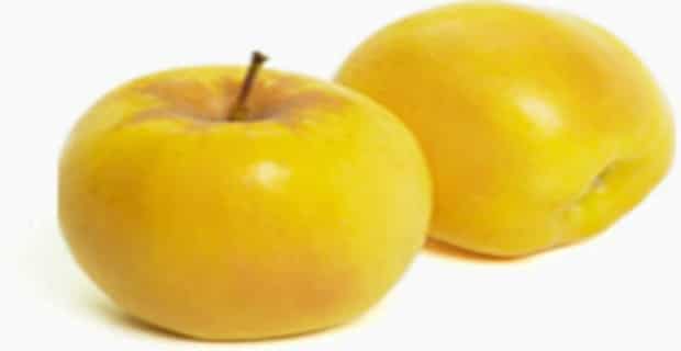 Opal Apples Are First U.S. Variety To Receive Non-GMO Label 