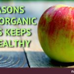 5 Reasons Eating Organic Apples Keeps You Healthy 5 Reasons Eating Organic Apples Keeps You Healthy