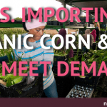 U.S. Forced to Import Organic Corn and Soy to Meet GMO-Free Demand U.S. Forced to Import Organic Corn and Soy to Meet GMO-Free Demand
