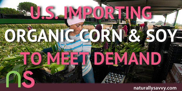 U.S. Forced to Import Organic Corn and Soy to Meet GMO-Free Demand 