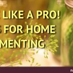 Pickle Like a Pro! 7 Tips to Home Fermenting Pickle Like a Pro! 7 Tips to Home Fermenting